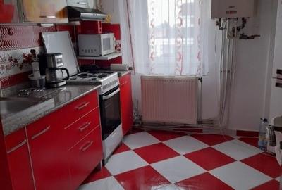 Apartament cochet - 5