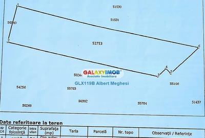 Teren 32000 mp Rudeni/Chitila deschidere 100 m centura Buc - 2