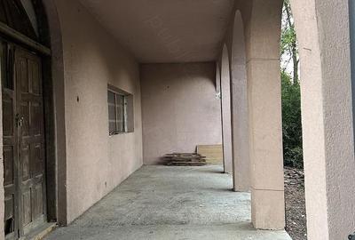 Casă cu Teren 12000 Mp în Chitila - 3