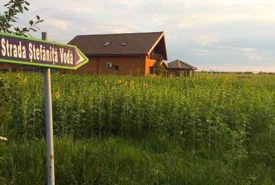 Spațiu comercial, în Ciofliceni - 3