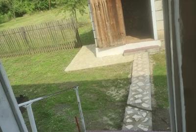 Vind casa in judetul Bihor Luncasprie - 4