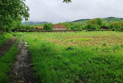 Casă individuală cu 3 camere cu Canalizare în Polovragi - 8
