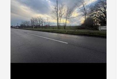 Teren de 6800 mp, în Ciorani - 3