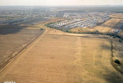 Teren de 16500 mp, în Tunari - 14