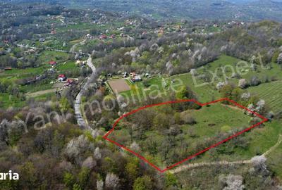 Teren de 15856 mp, în Valea Iașului - 6