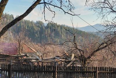 Vand casa 3 camere zona munte - 8