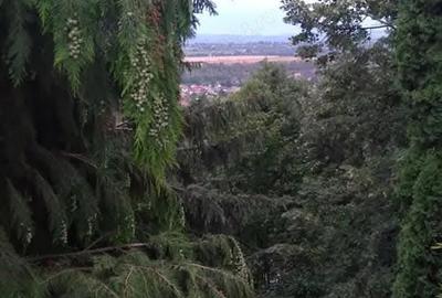 Casă cu 4 camere în Tăuții de Sus - 4