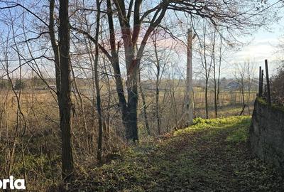 Teren de 10860 mp, în Gălănești - 4