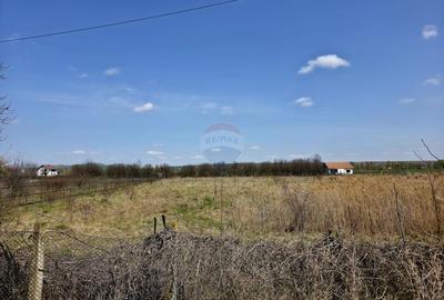 Teren Construcții intravilan de 7000 mp, în Girov - 8