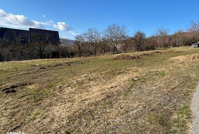 Teren de 800 mp, în Baciu - 1