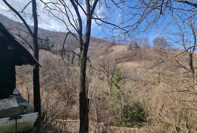 Teren arabil intravilan , priveliste mirifica , zona Schei - 4