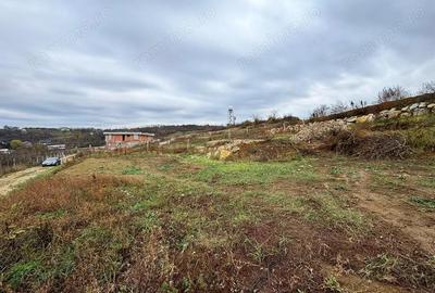 Loc de casa Teren intravilan - Oradea - Oncea - IMOBIHOR - 4