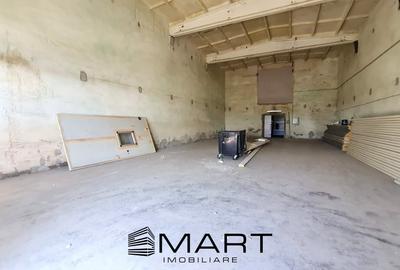 Hala depozitare 270 mp zona Industriala Vest - 2