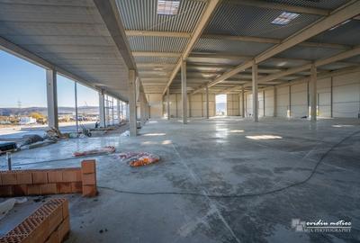 Hale clasa A, suprafete de la 1300 la 9000 mp - 5