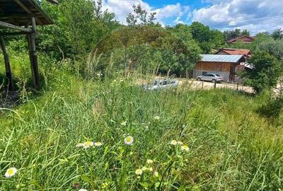 Teren Construcții intravilan de 3551 mp, în Poiana Copăceni - 23