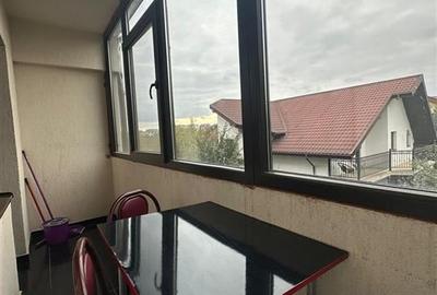 Inchiriere Apartament o camera - Valea Lupului - 8