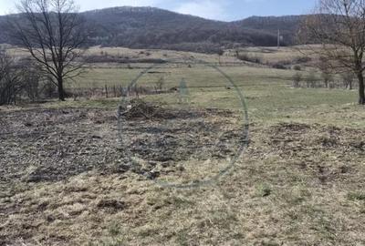 Teren de 4100 mp, în Central