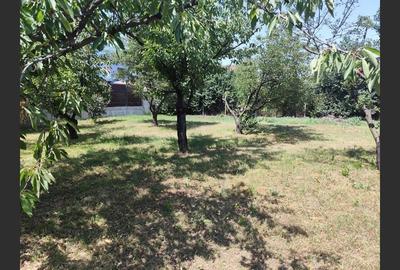 Casă Duplex 10 camere, Ploiești, zona Albert Casă Duplex 10 camere, Ploiești, zona Albert - 8