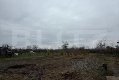 Casă cu 3 camere cu Teren 2745 Mp în Central - 7