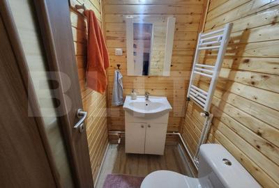 Casa de vacanta superba,cu 5 camere,300 mp utili,Valisoara - 14