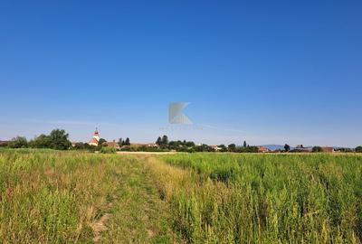 Posibilitate RATE | Teren Bod | curti constructii | utilitati | PUZ, - 14