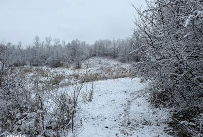 Spațiu comercial, în Provița de Jos - 9