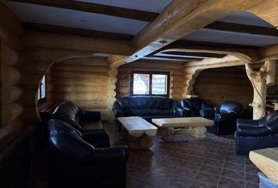 Cabana in inima muntilor, langa partia de schi din Borsa, teren 2200mp - 8