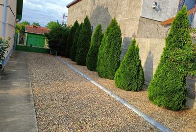 Casa de vanzare Oituz 59 - 3