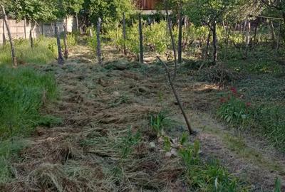 Casă cu 3 camere cu Teren 770 Mp în Central - 10