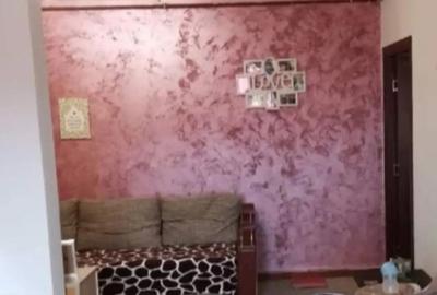 Garsoniera Magnolia -Aeroport - 1