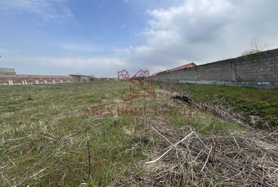 Teren de 2450 mp, în Bucovăț - 5