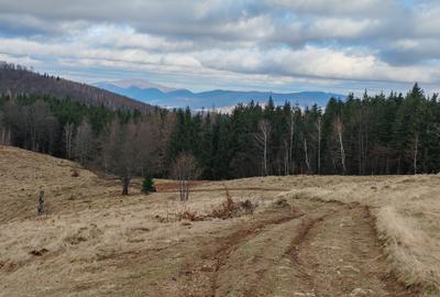 19,5 Ha  TEREN PEISAJ PANORAMIC SPECTACULOS zona turistica montana BULZ -  BIHOR - 16