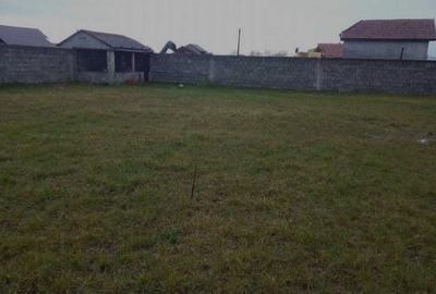 Casă cu 4 camere în Gavojdia - 1