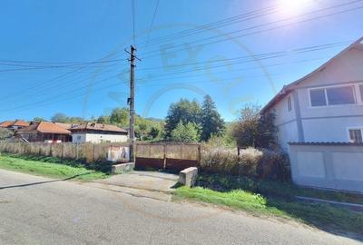 Teren Vacarea ,Mihaiesti , Arges - 5381 mp - 3