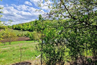 Spațiu comercial, în Moldovenești - 1