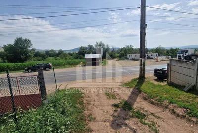 Teren intravilan intre Micesti si Sard - 5