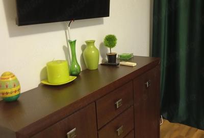 Apartament cu 4 camere decomandat în Craiovița Nouă - 4