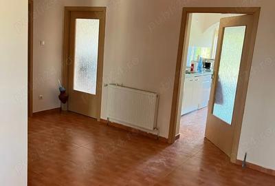 Vand casa cu etaj in Remetea Mare jud.Timis,240 mp locuibili si 1500 mp teren - 4