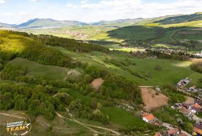 FILM! Teren extravilan cu priveliste deosebita, 11.306 mp, Malnas-Bai, Covasna - 6