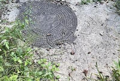 Teren intravilan cu PUZ 4000 mp -Sacele  - Bradet - 11