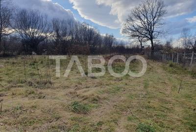 Comision 0 % Teren intravilan 2 cai de acces 3100 mp Savastreni - 2