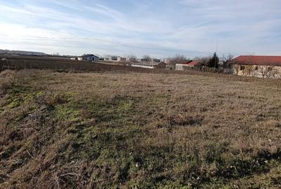 Teren intravilan de 16600 mp, în Bucovăț (Remetea Mare) - 2