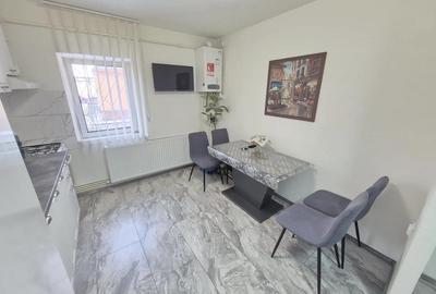 Apartament cu 2 camere decomandat, mobilat în Șagului - 4