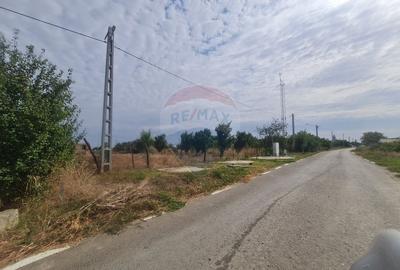 Teren 1,148mp Rastoaca / Strada Buduna - 3