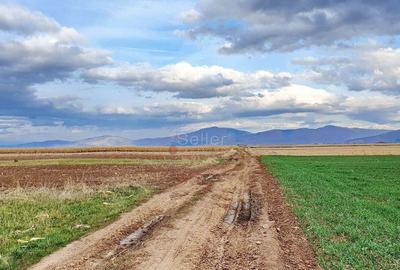 Teren de 8400 mp, în Tărlungeni