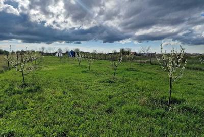 Spațiu comercial, în Urseni - 3