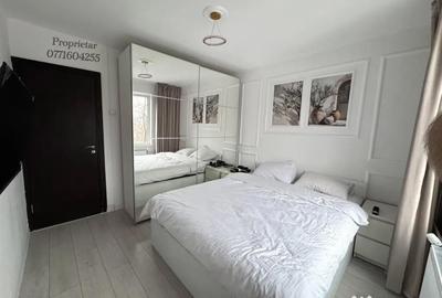 Apartament cu 3 camere decomandat în Gorjului - 9