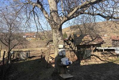 Casă cu Teren 1400 Mp în Mănăștur - 3