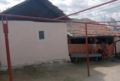 Casă cu Teren 13000 Mp în Central - 2