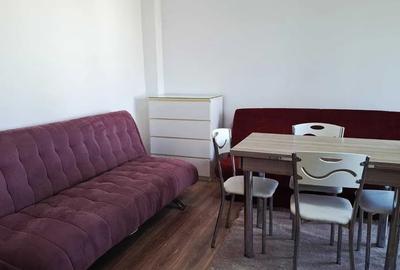 Inchiriere Apartament cu 2 Camere Cu Centrala Proprie Jiului - 2